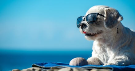 Ways to Engage Candidates During the Summer Slowdown
