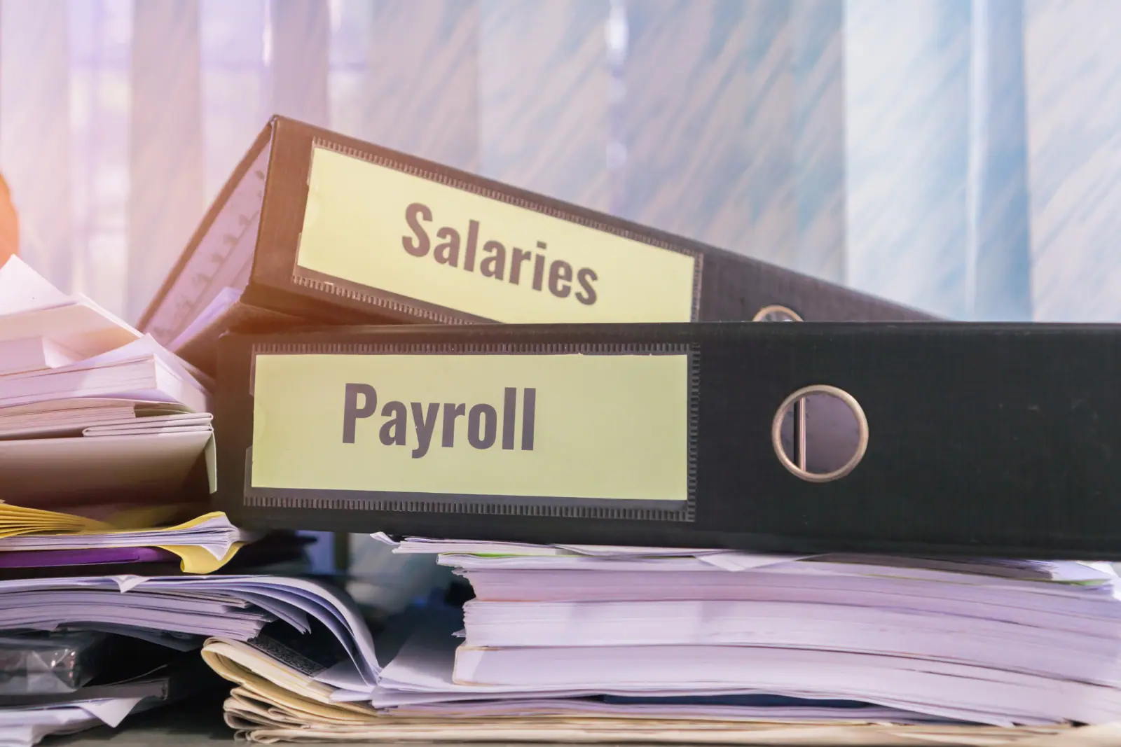 Choose a payroll technology that allows you to easily access and gain insights from your data.