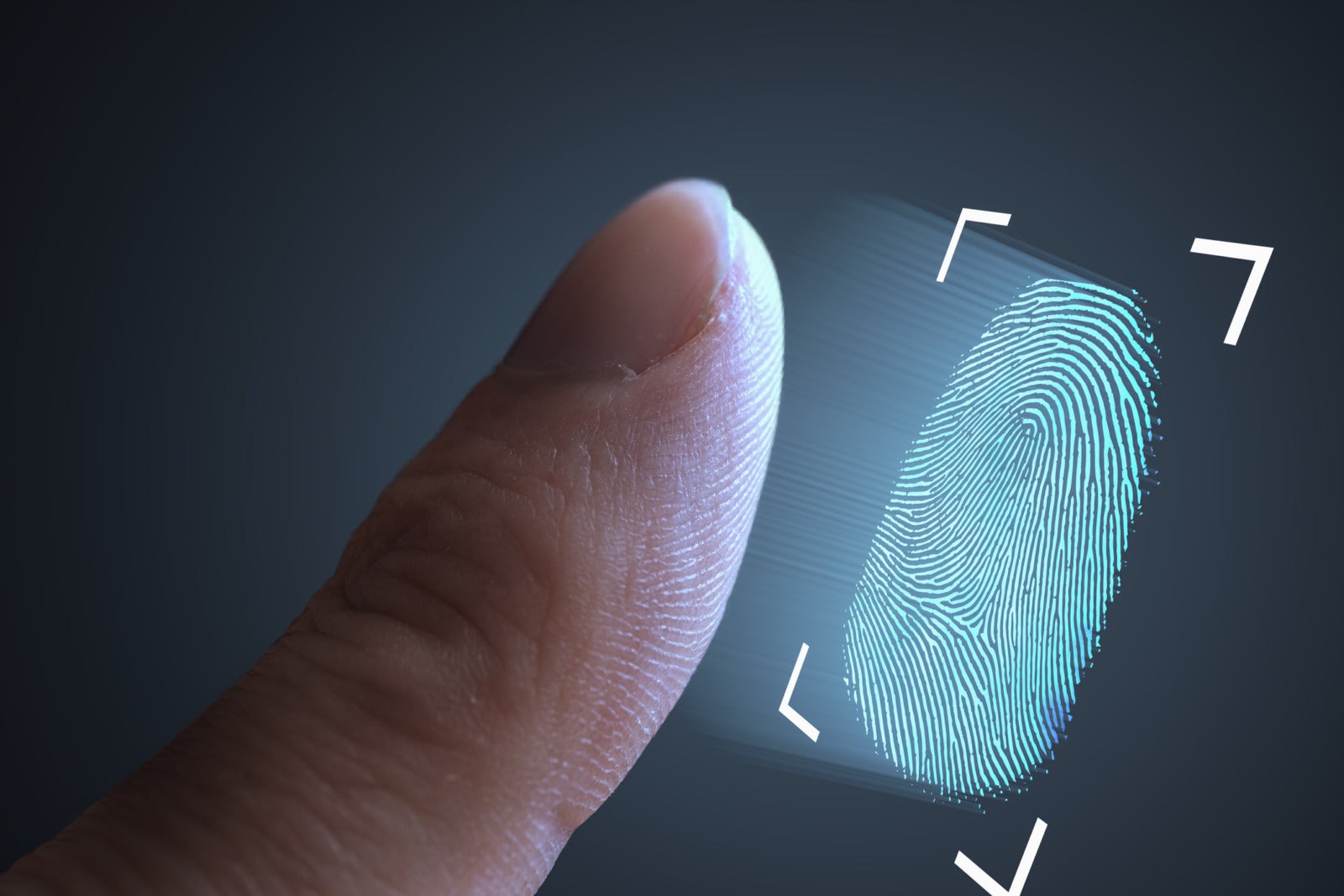 criminal background check