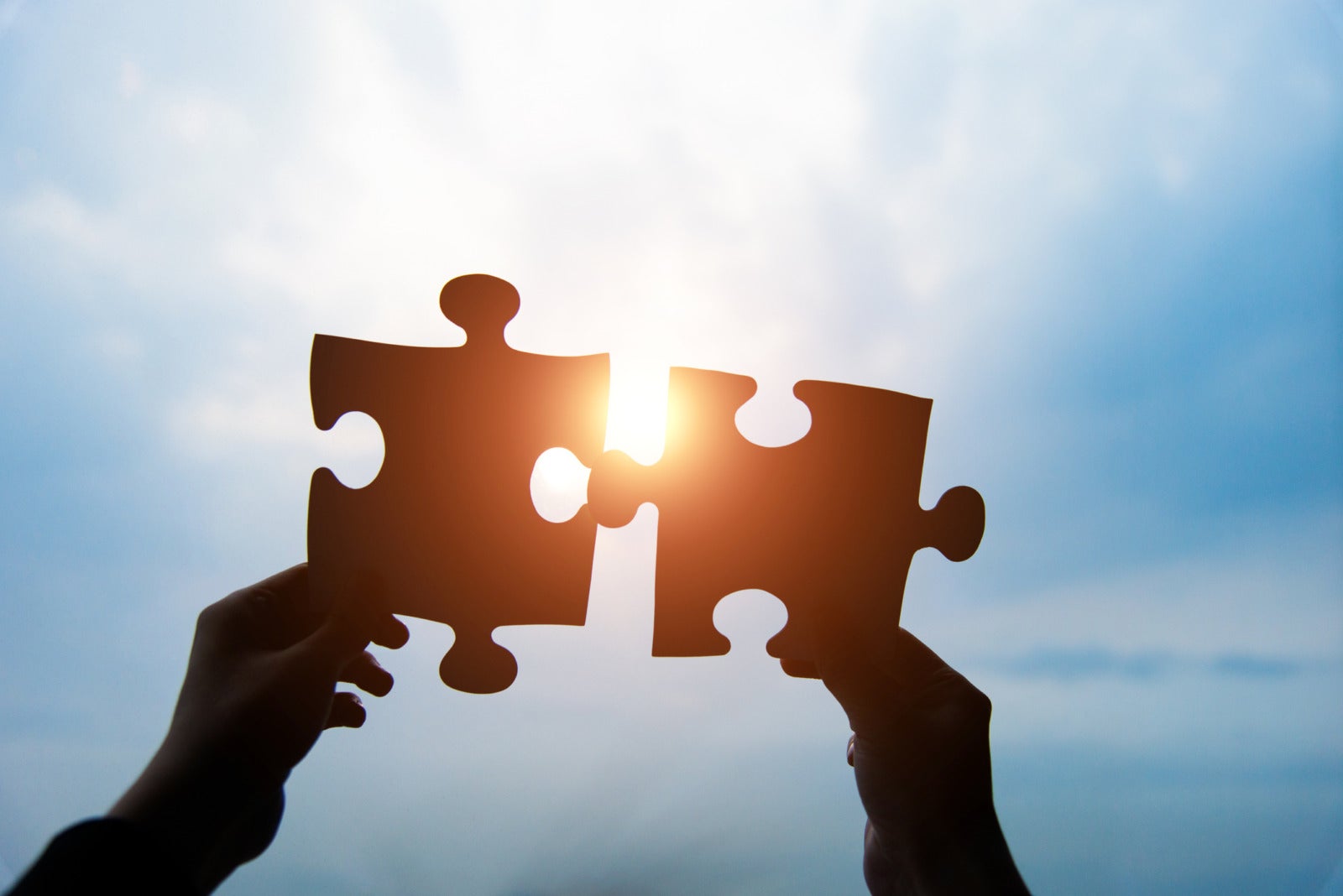 partnership concept