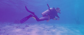 Deep Dive Webinars